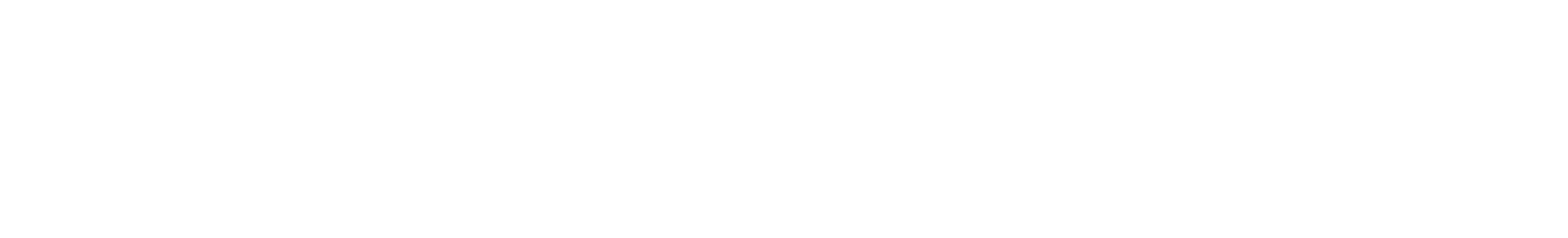 GRAN PREMIO de F1