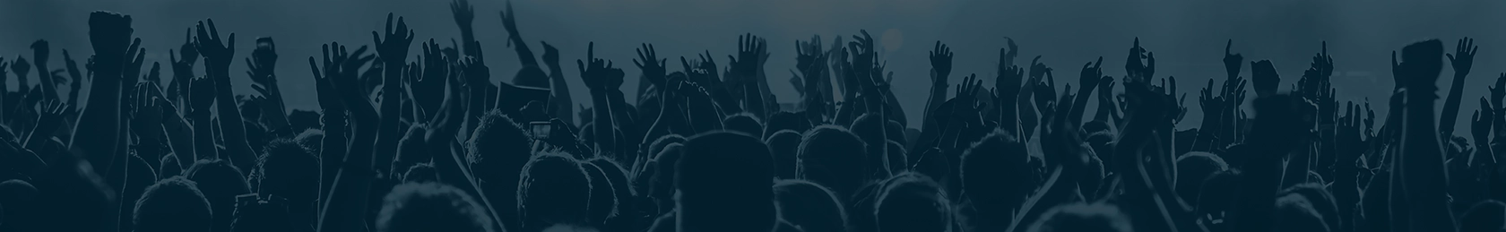 Personas viviéndolo en un concierto